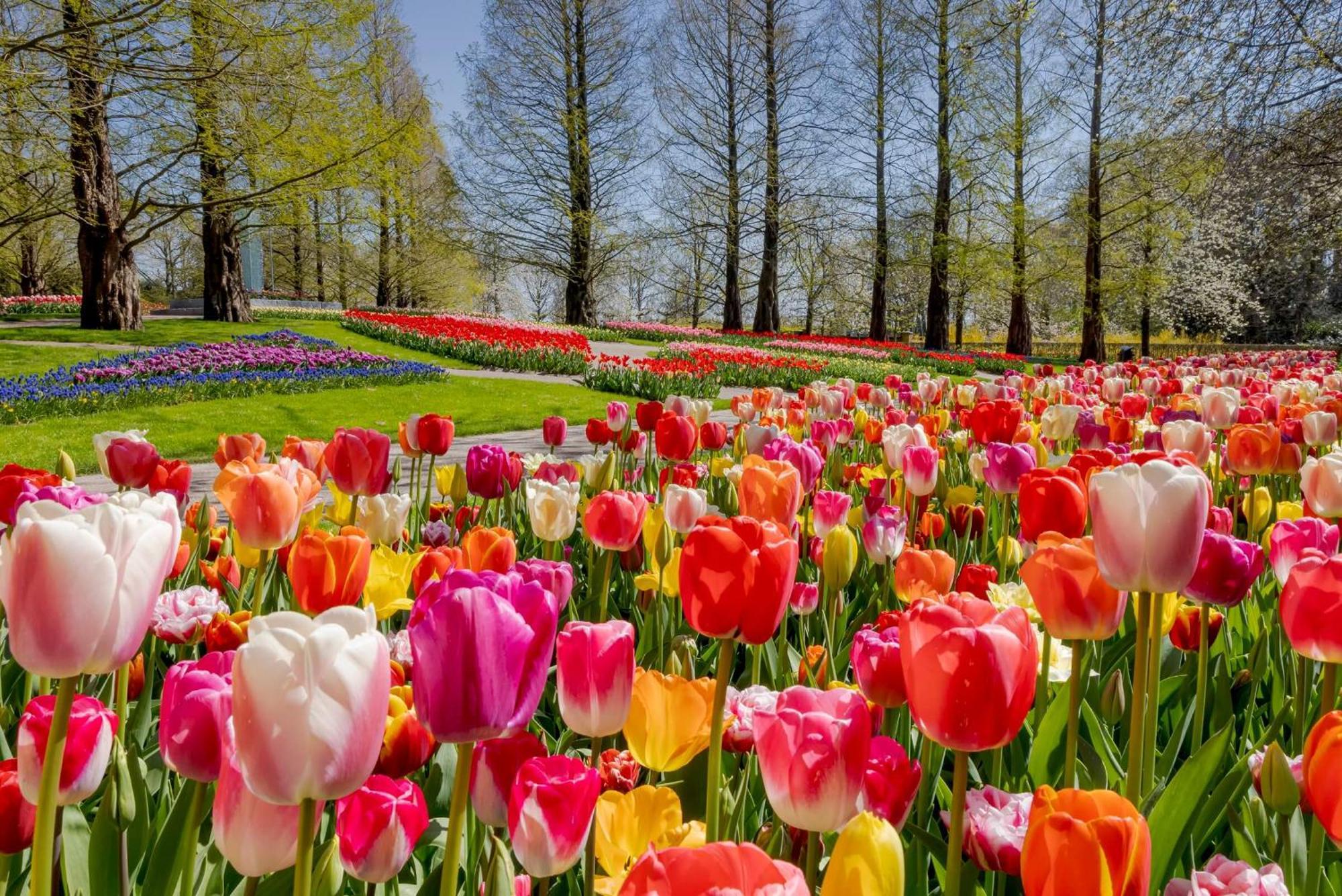 Heerehuys Lisse Villa Buitenkant foto