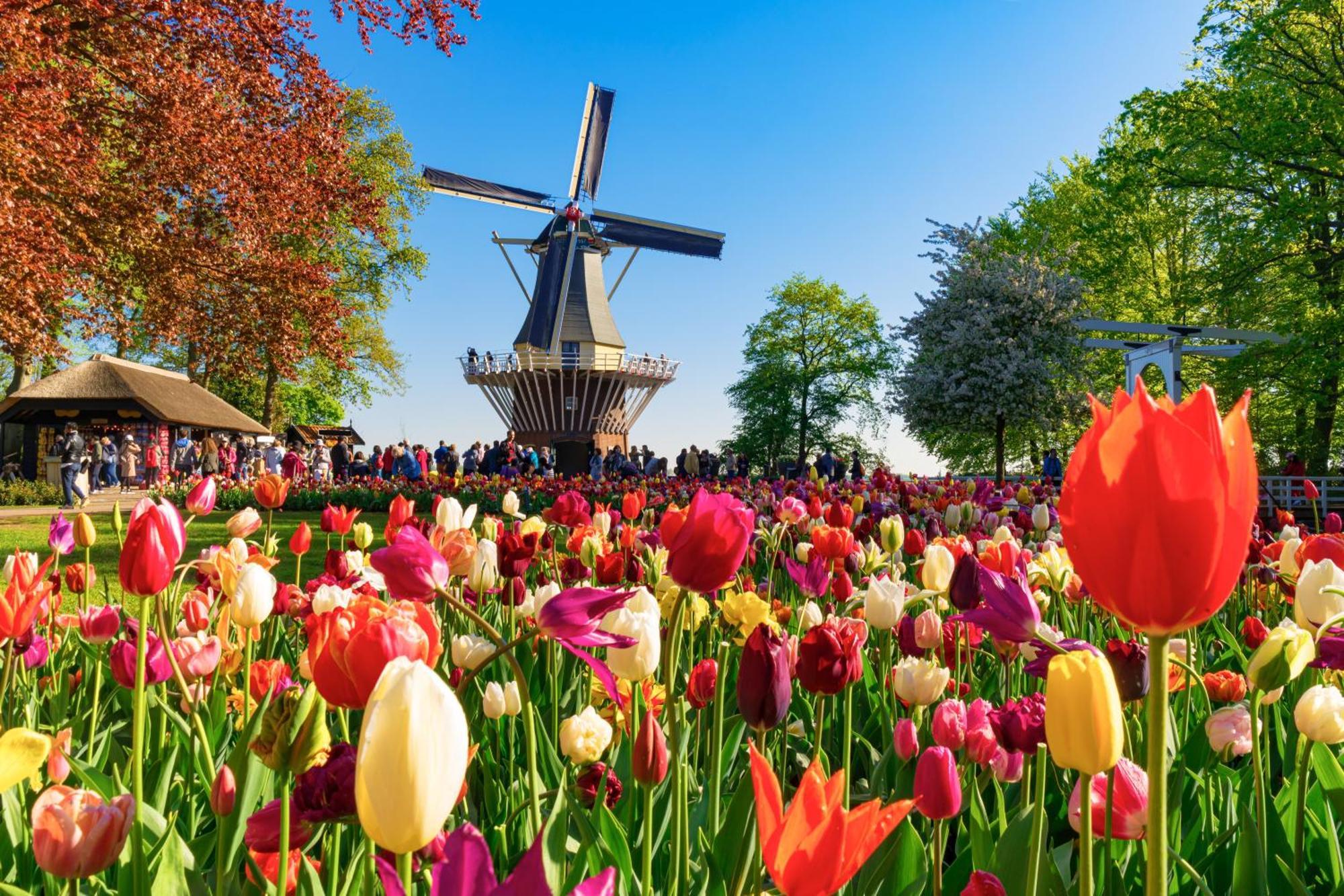 Heerehuys Lisse Villa Buitenkant foto